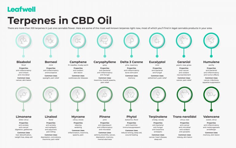 Terpenes-in-CBD-oil_Leafwell-scaled