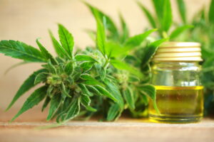 What is the Difference Between Hemp Oil and Hemp Seed Oil